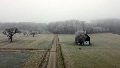 Barn and forest 스톡 동영상 169167991