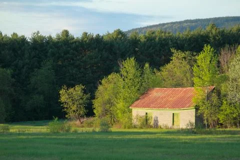 Barn and Spring Foliage Stock Photos