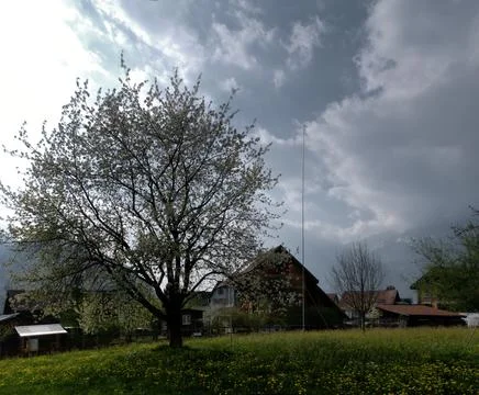 Barn and tree branches set against cloud Foto stock