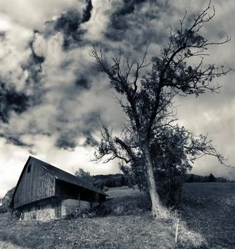 Barn and tree branches set against cloud Foto stock
