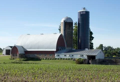 Barn and two silos. Photos