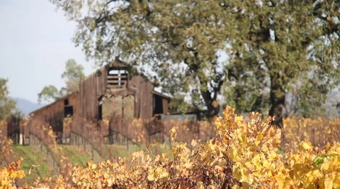 Barn in the autumn 0814 Stock Footage 940324