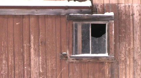 Barn Broken Window Video stock 647714