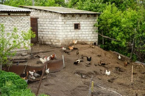 Barn with chickens Stock Photos