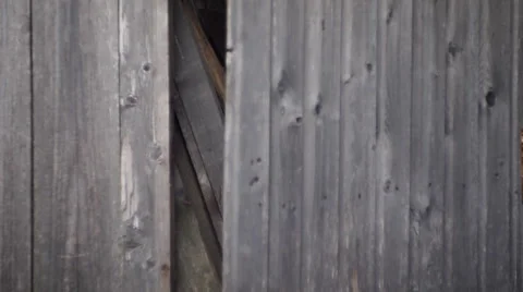 Barn door closes Stock-Footage 36078849
