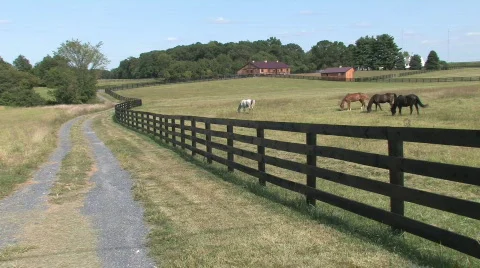 Barn on a Farm in the Countryside Stock Footage 280588