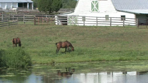 Barn on a Farm in the Countryside Stock Footage 280614