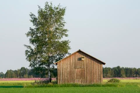 Barn in Farmfield by Tree Stock Photos