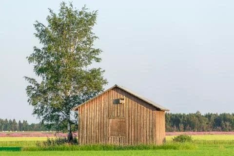 Barn in Farmfield by Tree Stock Photos