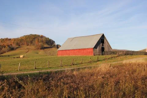 A barn in a field with cows around located in Appalachian Mountains Stock Photos