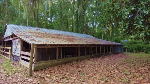 Barn in field Vídeo Stock 242103697