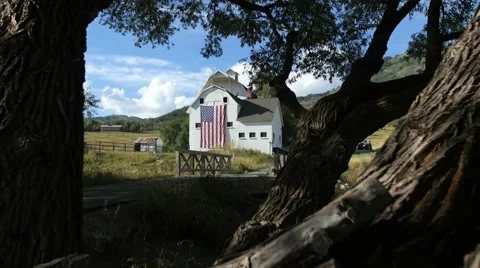 Barn flag and tree trunk Vídeos de archivo 54565961