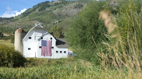 Barn flag through grass Vídeos de archivo 54565967