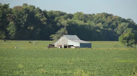 Barn Stock Footage 12136326