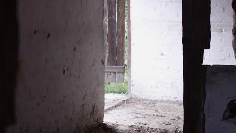 A barn Video stock 119920256