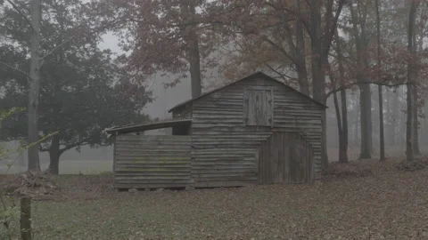 Barn Stock Footage 168214841