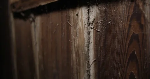 Barn Footage Stock Footage 98355646