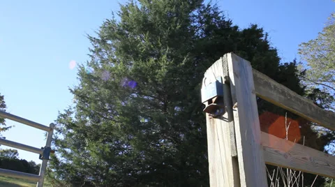 Barn Gate Closing Video stock 31248842