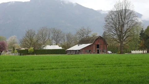 Barn in the green field. Vidéo 74866753