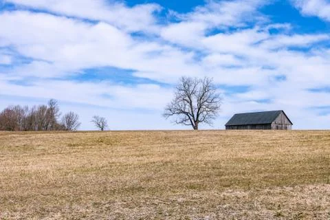 Barn on a Hill Next to a tree Stock Photos