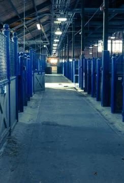 Barn horses empty Stock Photos