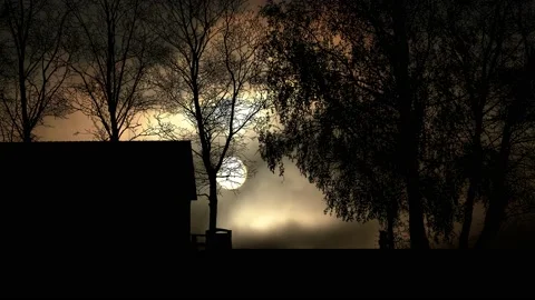 Barn Hut Road Fig Trees lane field rural meadow, Vídeo Stock 194983457