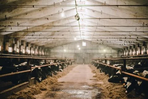Barn inside with no sharpness Stock Photos