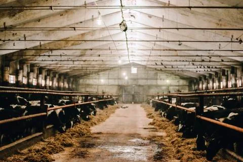 Barn inside with no sharpness Stock Photos