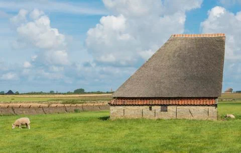 Barn on the island of texel Stock Photos