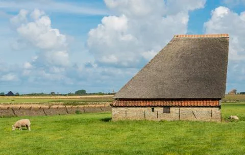 Barn on the island of texel Stock Photos