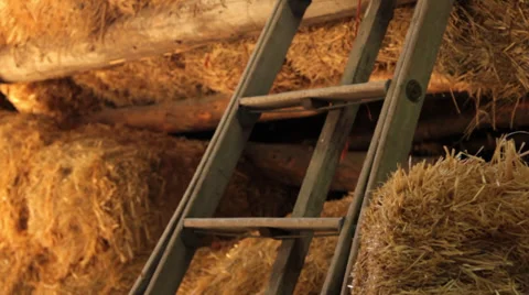 Barn Ladder Tracking shot 動画素材 38899615