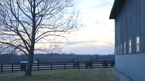 Barn leading to horses sunset Stock Footage 100478492
