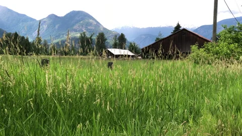 Barn in mountain valley Stock Footage 146989206