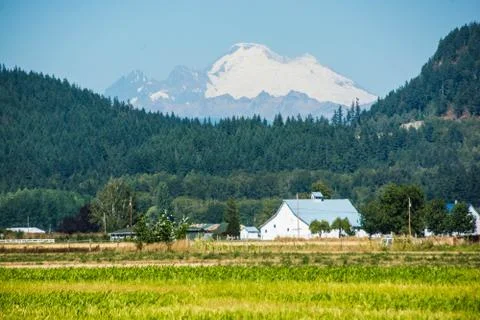 Barn with Mt Baker Stock Photos