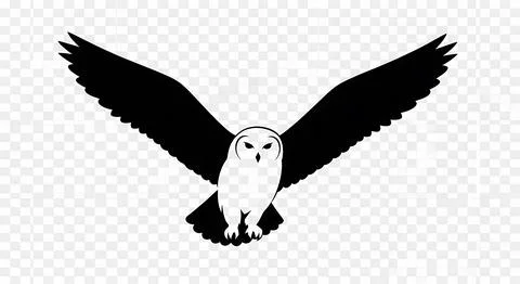 Barn owl flying with wings spread, black and white silhouette graphic. Stock Illustration