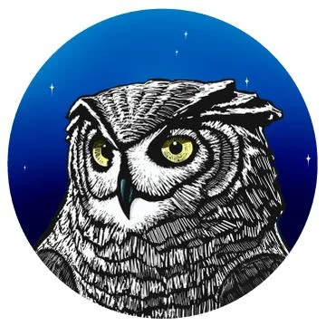 Barn Owl Stock Illustration