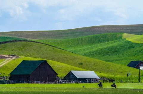 Barn in the Palouse Stock Photos
