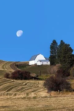 Barn on the Palouse. Stock Photos
