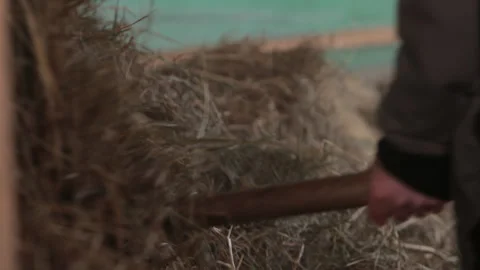 Barn setting, hay texture, natural materials Stock Footage 313909220