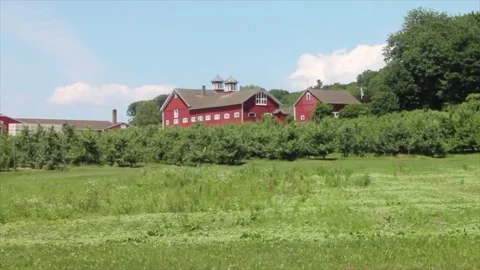 A barn sits over an apple orchard Stock Footage 329800915