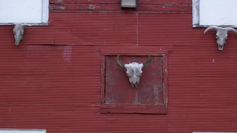 Barn with Skulls Stock Footage 88408713