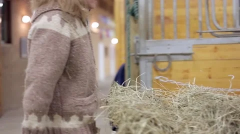 Barn-stables-worker Stock Footage 60994864