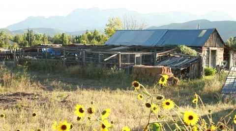 Barn with Sunflowers in Foreground Stock-Footage 44347314