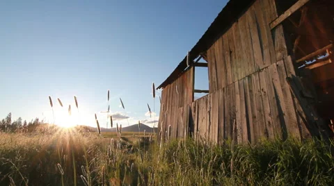 Barn sunlight ranch tracking Stock Footage
