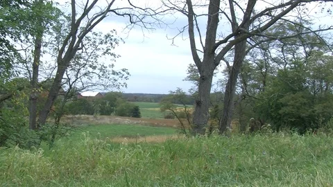 A barn is surrounded by green grass pine trees and a rural road Stock Footage 91056093