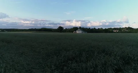 A barn surrounded by a wheat field in the rural Pennsylvania countryside during  Video stock 133731971