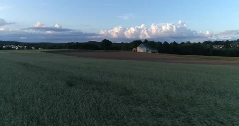 A barn surrounded by a wheat field in the rural Pennsylvania countryside during  Video stock 133732322