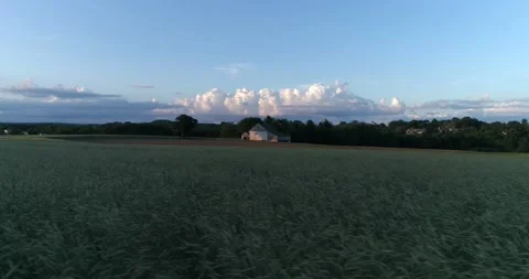 A barn surrounded by a wheat field in the rural Pennsylvania countryside during  Video stock 133732681