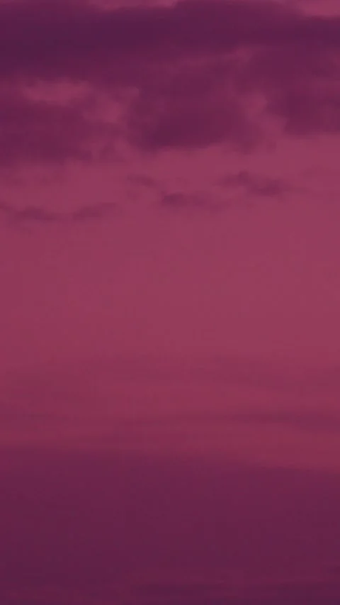 Barn swallow silhouette against deep crimson sunset sky, slow motion wildlife Stock Footage 341363285