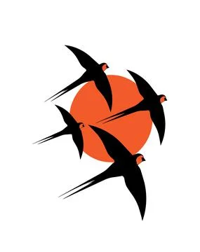Barn swallow silhouette on sunset, vector. Two birds silhouettes isolated Stock Illustration